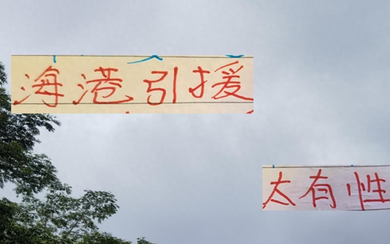 相比隔壁老是湊不齊五外援今年海港一口氣換的4人太有性?xún)r(jià)比
