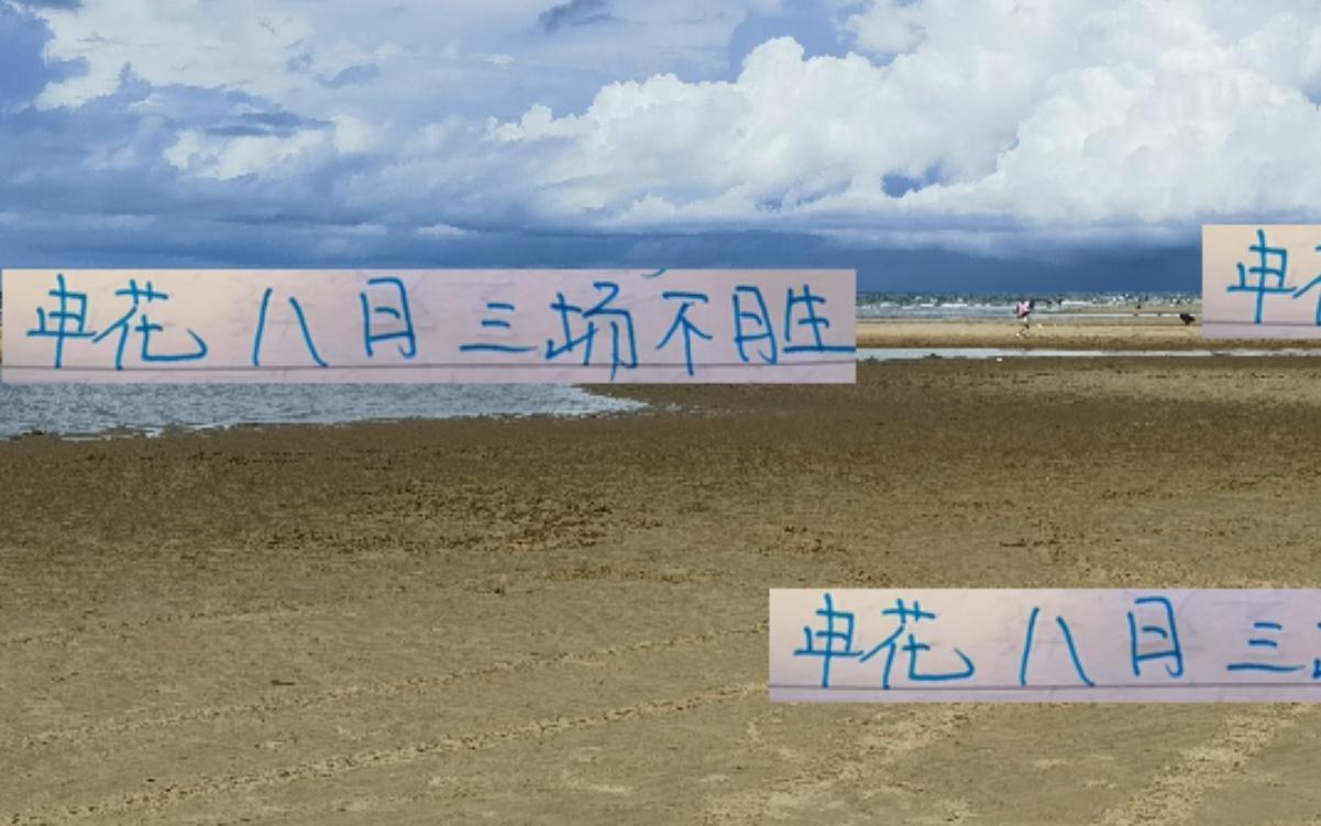 輪到申花“司機”踩急剎車！云南站海港站浙江站都路路不通
