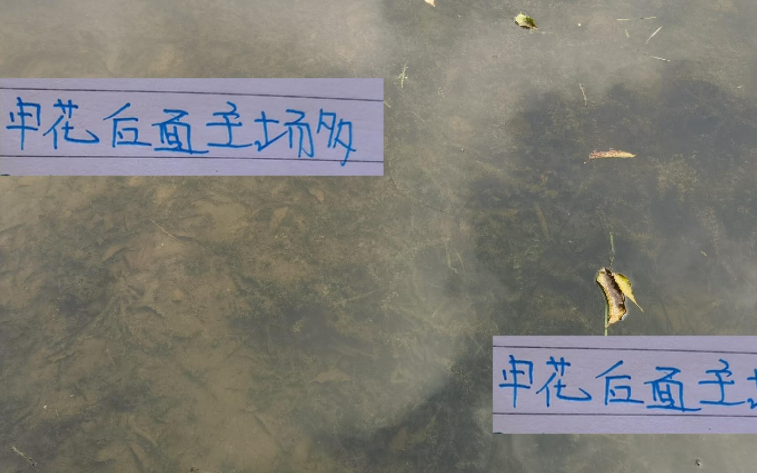 還剩下7輪！如果拼主場申花笑傲群雄就有5個奪冠能穩(wěn)嗎