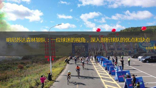 明尼蘇達(dá)森林狼隊(duì)：一位球迷的視角，深入剖析球隊(duì)的優(yōu)點(diǎn)和缺點(diǎn)