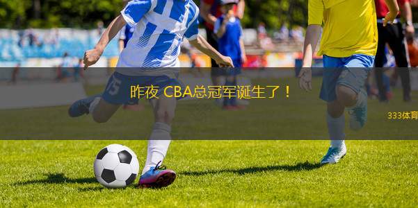 昨夜 CBA總冠軍誕生了！