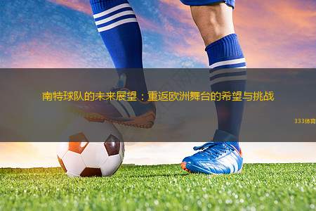 南特球隊的未來展望：重返歐洲舞臺的希望與挑戰(zhàn)