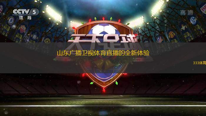 山東廣播衛(wèi)視體育直播的全新體驗