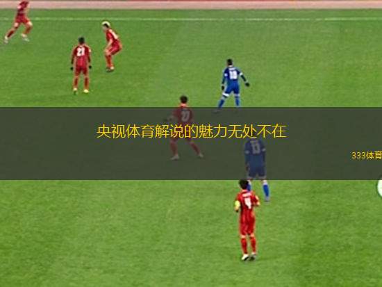 央視體育解說的魅力無處不在
