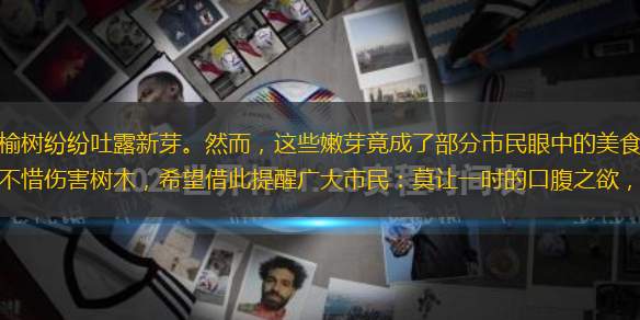 春天，萬物復(fù)蘇，柳樹、榆樹紛紛吐露新芽。然而，這些嫩芽竟成了部分市民眼中的美食。近日，有市民致電本報(bào)，反映一些人為了嘗鮮，不惜傷害樹木，希望借此提醒廣大市民：莫讓一時(shí)的口腹之欲，傷了城市的“綠色生命”