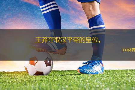 王莽奪取漢平帝的皇位。